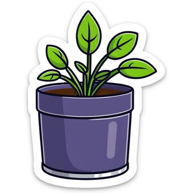 Young Plectranthus Verticillatus sprouts with perfectly circular penny-shaped leaves in a modern metallic planter sticker