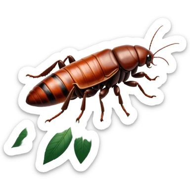 Giant Madagascar hissing cockroaches in their natural habitat, crawling over leaves and branches. Detailed close-up, highlighting their size, texture, and distinctive hissing feature. Soft, natural lighting and a transparent background. sticker