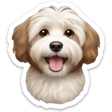 brown coloured dog bichon havanese happy face sticker