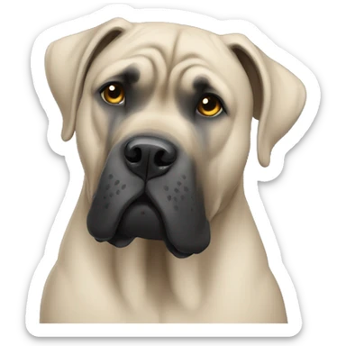 cane corso sticker