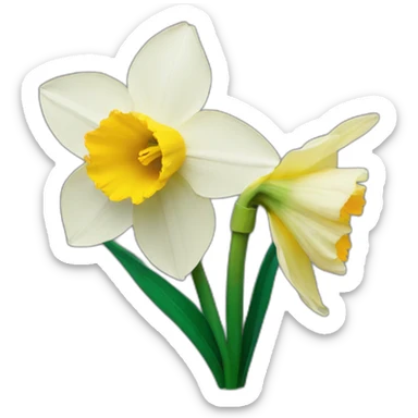 daffodils flower sticker