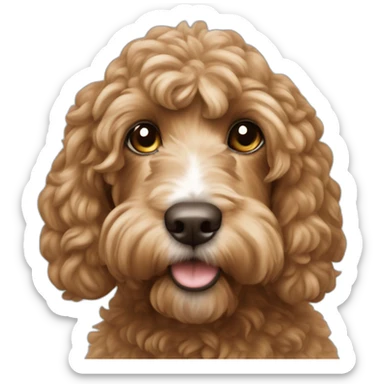 Cashew cockapoo sticker