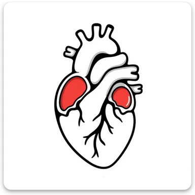 A hand-drawn anatomical heart with detailed chambers and arteries in medical diagram style, showing blue veins and red arteries, with clear internal structure, oxygenated blood in red and deoxygenated blood in blue sticker