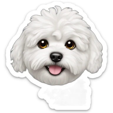 White maltipoo dog with right black ear and right black eye patch sticker