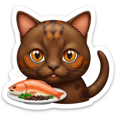 dark chocolate brown burmese cat with tortoise shell fur with small patchy areas and amber eyes eating salmon sticker
