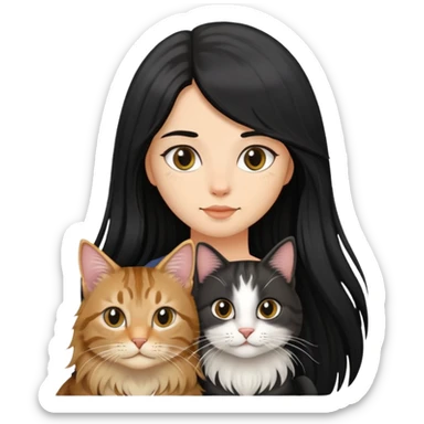 a long haired tabby cat and A girl with long black hair and an oval face  sticker