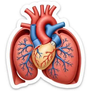 endovascular repair of aortic valve sticker