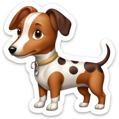 Teckel arlequin sticker