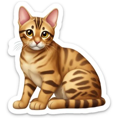 bengal cat sitting  sticker