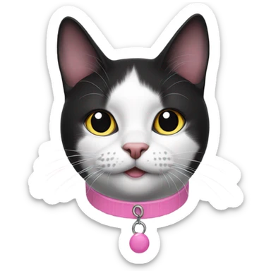 Black and white cat with a black spot on nose and pink collar sticker