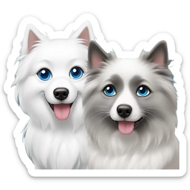 Japanese spitz and grey and white ragdoll with blue eyes sticker