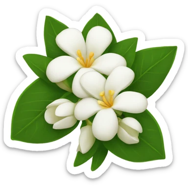 Jasmine flowers sticker