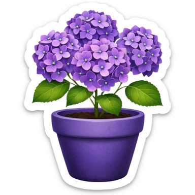 purple hydrangeas flower pot sticker