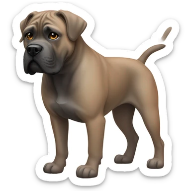 An orange-colored Cane Corso wearing a bathing suit. sticker