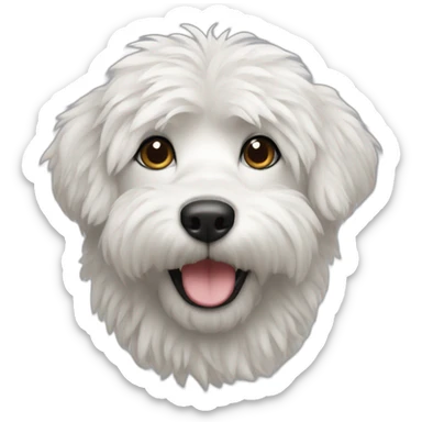 bishon frize sticker