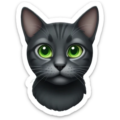 Black and grey cat with green eyes  sticker