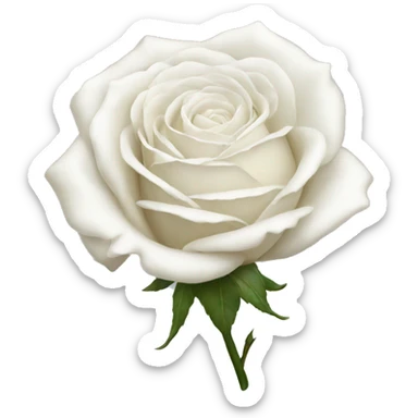 White rose sticker