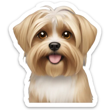 Yorki shitzu mix dog sticker