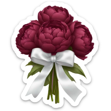 Big bouquet of burgundy peonies with a white satin ribbon sticker