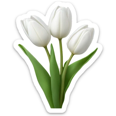 White tulips  sticker