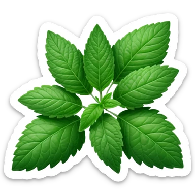 Peppermint (Mentha \(\times \) piperita)  sticker