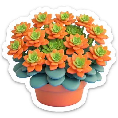 Sedum Pachyphyllum succulent with chubby blue-green leaves sticker
