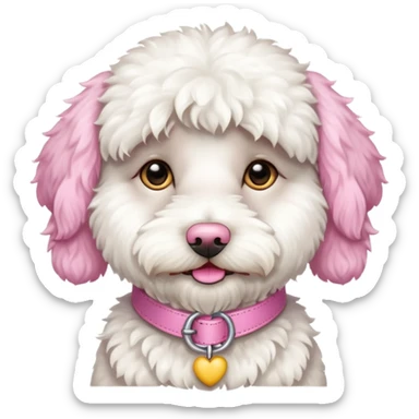 white labradoodle dog pink collar sticker