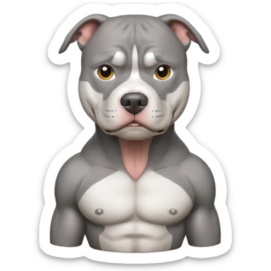 Grey pitbull with white chest sticker