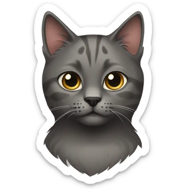 Dark gray scotish cat and color point cat sticker