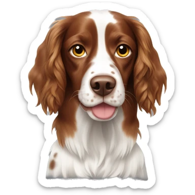 Long hair Brittany spaniel with spots sticker