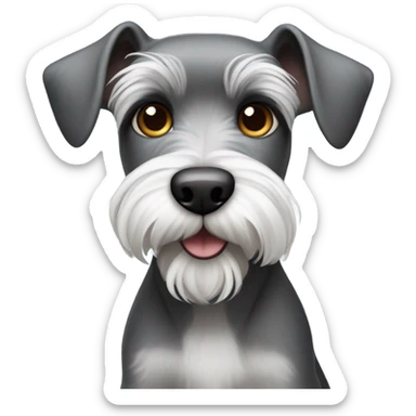 Mini schnauzer mix with a raterrier sticker