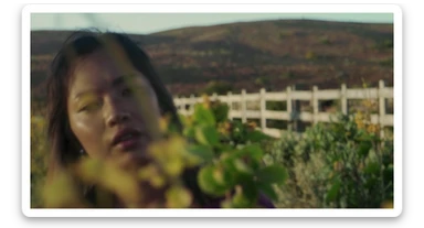 A portrait of a person in the foreground, blurred plants in the foreground (close to the camera), a wooden fence in the midground, rolling hills in the background, cinematic depth of field, layered composition, natural lighting sticker