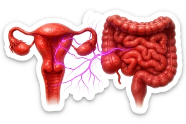utero umano anatomico iperrealistico e intestino umano anatomico iperrealistico hanno in comune il dolore e l'infiammazione, rendi bene il collegamento tra i due organi doloranti, falla iperrealistica, non disegnata, fai colori che si adattano a questo viola #971ef1 sticker