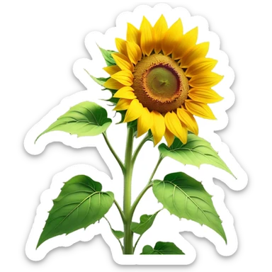 Cinematic Realistic Sunflower Emoji, Tall and bright, with a large, golden-yellow blossom facing the sun, its broad, textured petals surrounding a dark center. The sturdy green stalks and leaves frame the vibrant flower, while a gentle breeze causes the petals to sway. Soft glowing outline, capturing the essence of sunshine and warmth in a cheerful, towering sunflower! sticker