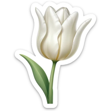 White tulip  sticker