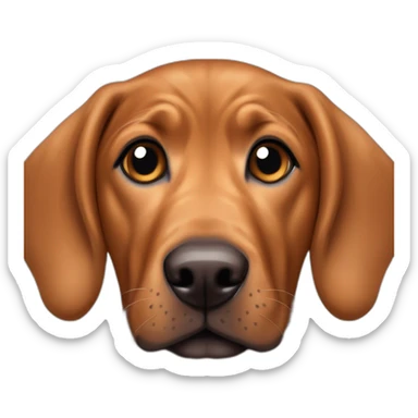 brown puppy dog mixed breed of austrian pinscher, redbone coonhound, nova scotia retriever and shar pei sticker