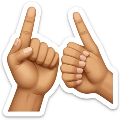 🖕+👊 sticker