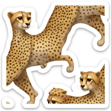 Cheetah sticker