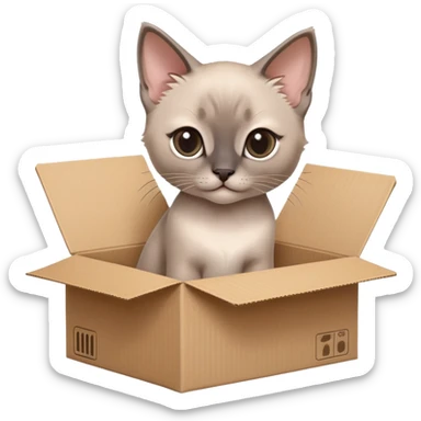  A very cute gery young kitten Siamese Cat cat with one's head tilted to one side poked its paws out of the cardboard big box and placed them on top of it sticker
