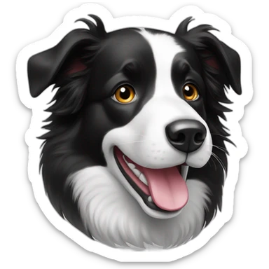 Happy-black-and-white-border-collie sticker