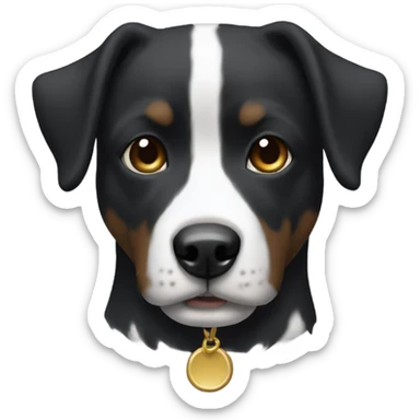 black shitsu mutt with white chest  sticker