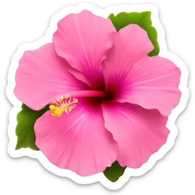 pink hibiscus flower  sticker