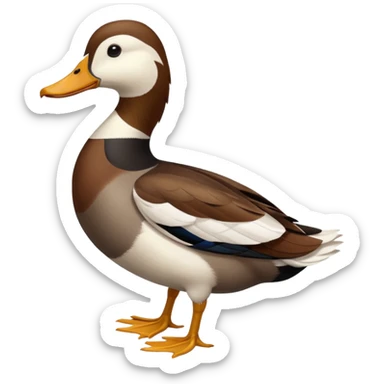Dutch Hookbill Duck sticker