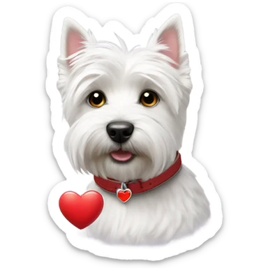 westie with collar that has red heart on it sticker