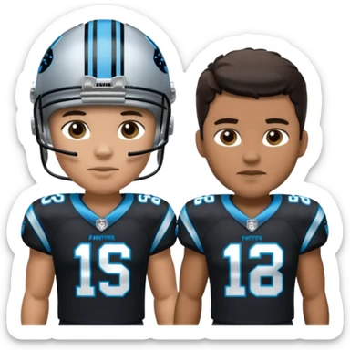 Panthers nfl team sticker