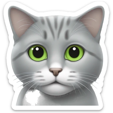 Chat trigré gris et blanc aux yeux vert  sticker