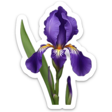 Iris flower sticker