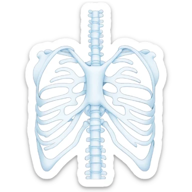 X-ray sticker