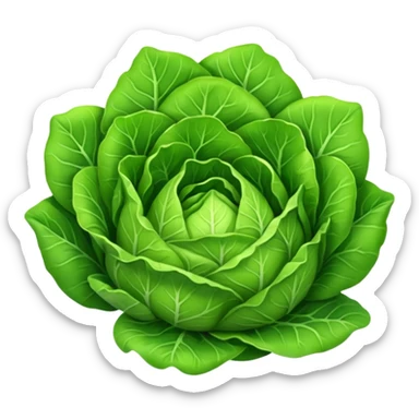 lettuce vegetable sticker