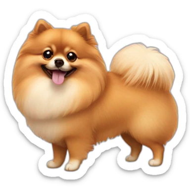 pomeranian sticker